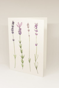 Greeting Card wanakalavenderfarm