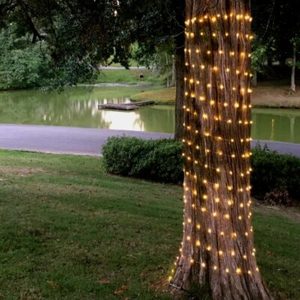 Products: Festoon Lights 10M