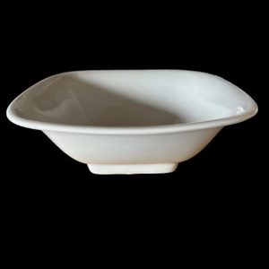 Shallow Large Rectangle Platter