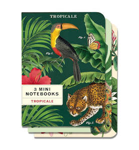 Books: Cavallini Tropicale Notebooks - Set of 3