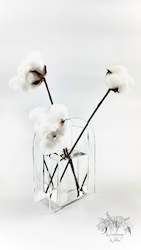 Vessels: Clear Acrylic Arch Vase