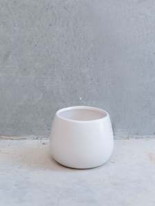 Vases: White Belly Vase