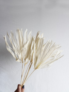 CLEARANCE: Palm Sun - White