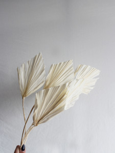 Floral Stems Bar: CLEARANCE: Palm Spear - White