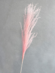 Floral Stems Bar: Eulalia - Pink