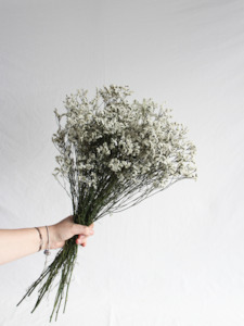 Floral Stems Bar: Limonium Statice - White