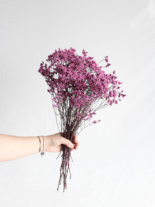 Floral Stems Bar: Limonium Statice - Pink