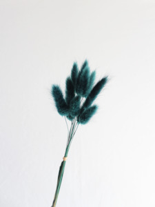 Bunny Tails - Dark Teal
