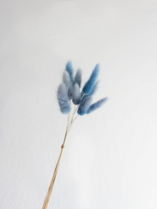 Floral Stems Bar: Bunny Tails - Blue