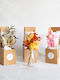 Bloom & Treats