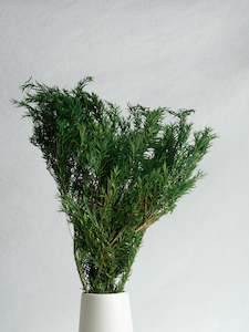 Thousand Layer Leaf - Green