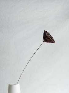 Floral Stems Bar: Lotus Pods - L Size