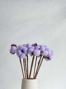 Floral Stems Bar: Dried Cotton Bloom - Lilac