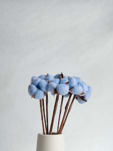 Floral Stems Bar: Dried Cotton Bloom - Blue
