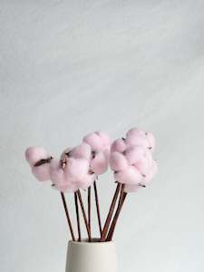 Floral Stems Bar: Dried Cotton Bloom - Pink