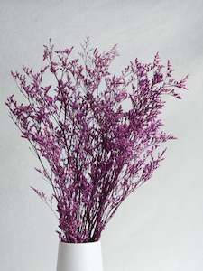 Limonium - Purple