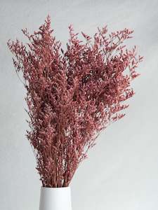 Floral Stems Bar: Limonium - Pink