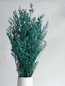 Limonium - Blue