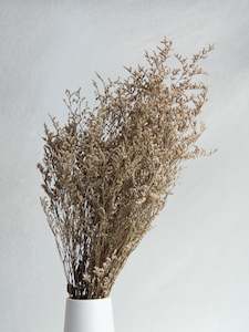 Limonium Statice: Limonium - Natural