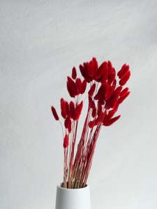 Floral Stems Bar: Bunny Tails - Red