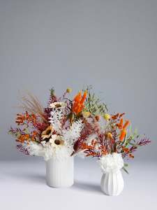 The Bundle Collection: Cedar Grove Bundle