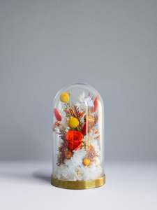 Floral Domes: Apricot Blush Dome