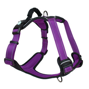Huskimo Harness My Vxw Site 1ggjum