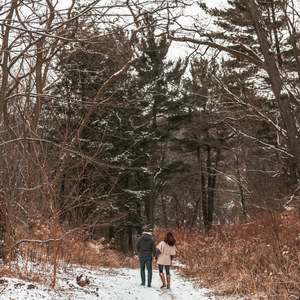 Products: Gift an Anniversary Wanderer