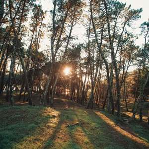 Products: Gift a Solo Wanderer