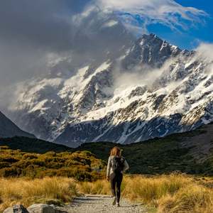 The Roady Wanderer