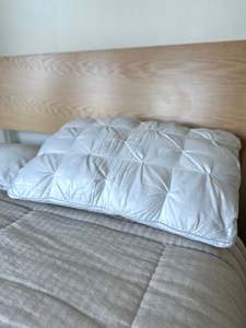Accessories: Down Pillow