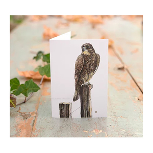 Products: Wild Grey Fox Greeting Card - Karearea - Original Artwork