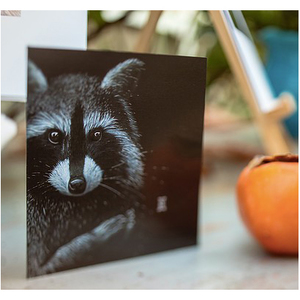 Products: Wild Grey Fox Greeting Card - Raccoon (Asleep)