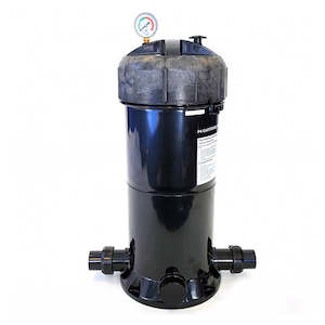Filters Pools And Spas: Paramount cartridge Filters