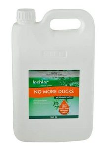 Chemicals Pools And Spas: LoChlor No More Ducks