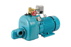 Pumps Home And Rural Water Equipment: Onga JJ600 Farmmaster water pump