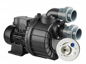 Davey Hurricane Pump & Swimjet system