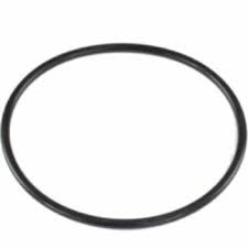 Pools And Spas: Waterco Hydro5000 Lid O Ring