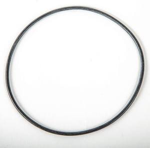 Davey Silensor Pumps Lid O Ring