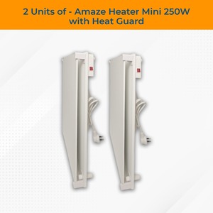 Products: 2 Units of 250W Mini Heater with Heat Guards (dual convection technology)