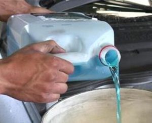 Products: Bug Buster - Waterford Painting & Trade Supplies