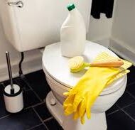 Bowl Clean - Waterford Painting & Trade Supplies