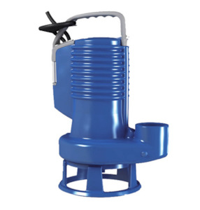 ZENIT DG Blue Professional Series Pumps WTSNZ