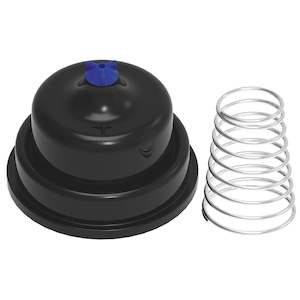 Valves: Hansen 25mm Rain Relief Diaphragm & SS Spring