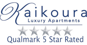 Products: Accommodation