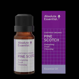Aroma Therapy Essential Oils: ABSOLUTE ESSENTIAL PINE SCOTCH 10ML
