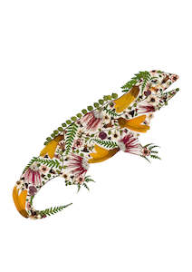 Frontpage: Art Print - Tuatara - New 2025