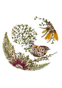 Frontpage: Art Print - Piwakawaka/Fantail - New 2025