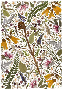 Frontpage: Art Print - Emerging Koru - New 2025