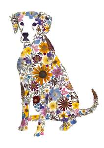 Frontpage: Art Print - Dalmation Dog - Spot